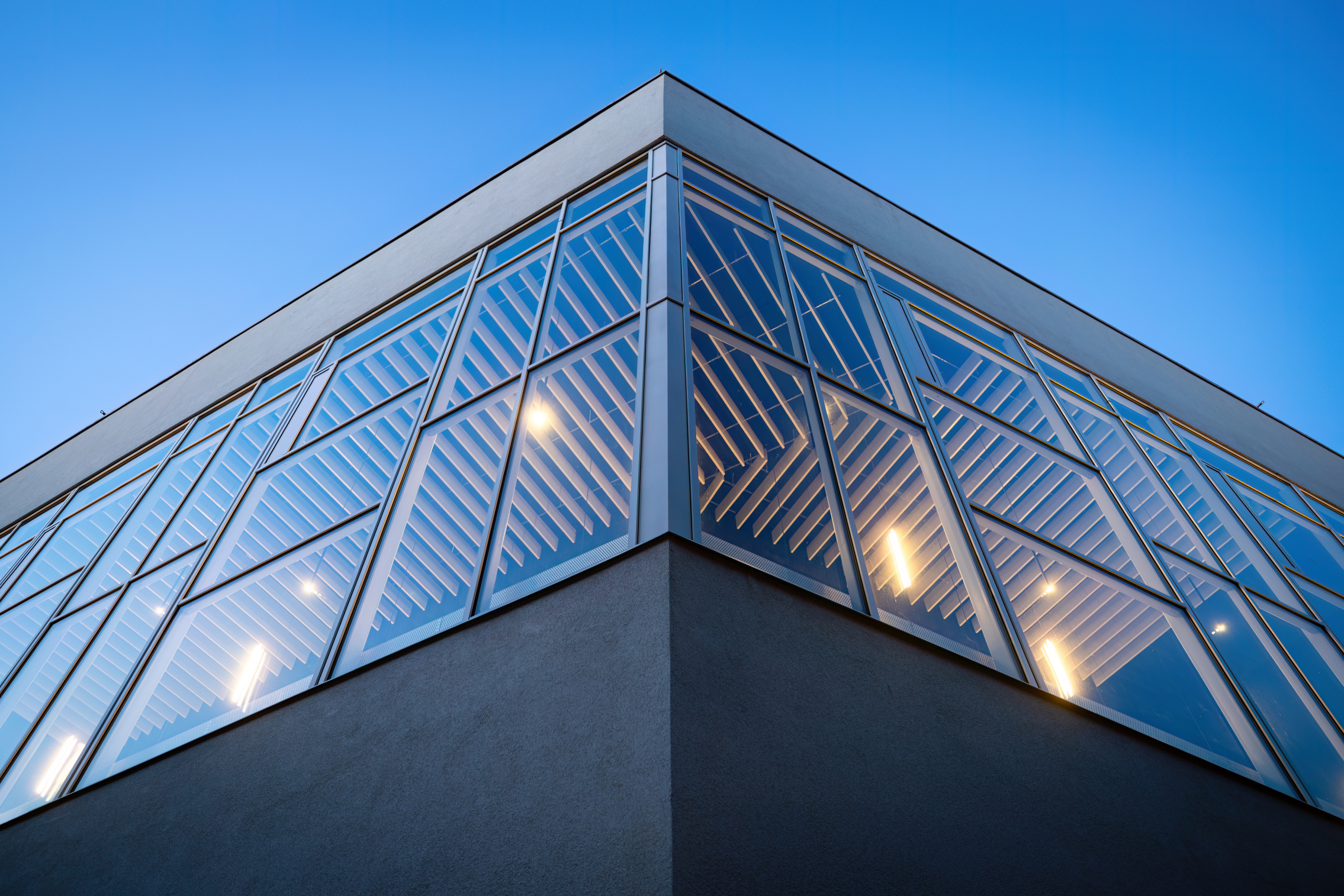 Rencontre avec Alíz Markovits